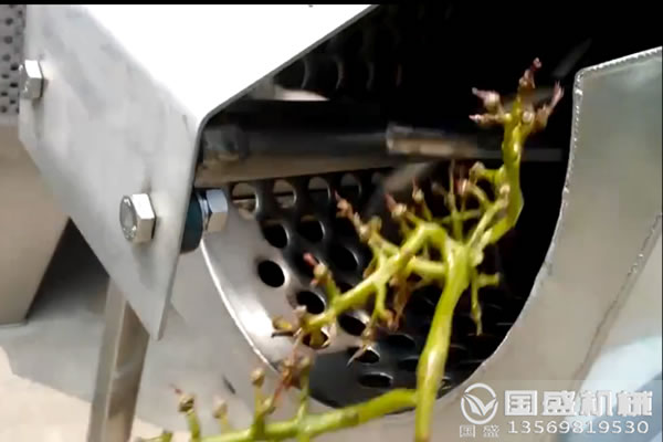 葡萄除梗機破碎裝置